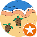 marion pike marion pike